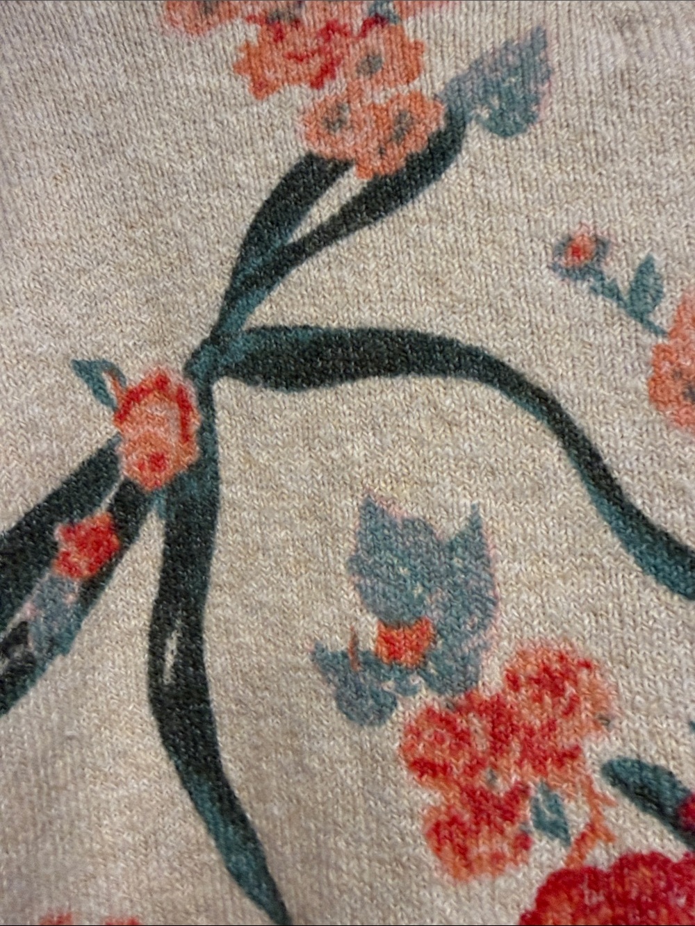 Cream Floral Turtleneck Sweater with Red & Green Print NWT - Picture 4 of 4